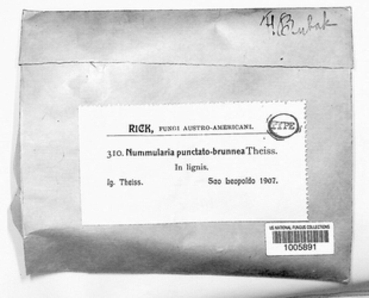 Jumillera image